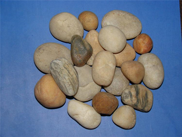 91视频网站免费