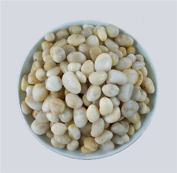 91视频网站免费濾料