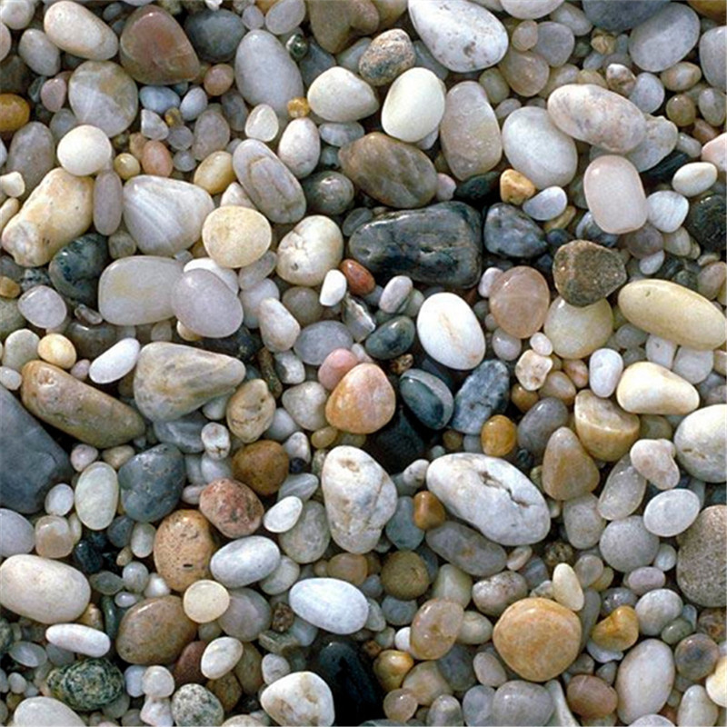 91视频网站免费