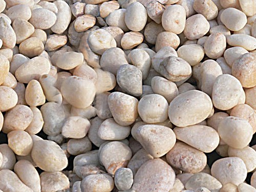 91视频网站免费種類